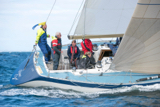prime cut gbr3709 whyw16 thur 800 3172w